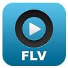 FLV Player Windows XP