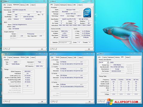 Screenshot CPU-Z Windows XP