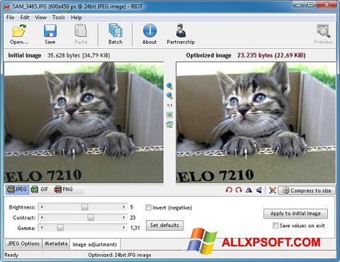 Screenshot RIOT Windows XP